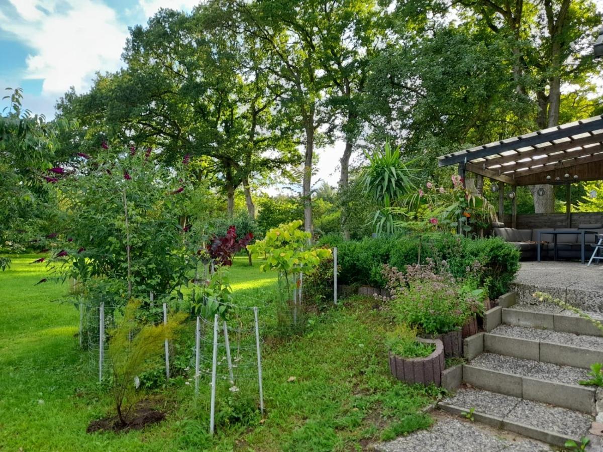 Haus Wald Und Wiese Wohnung Wiese Ehndorf Ngoại thất bức ảnh