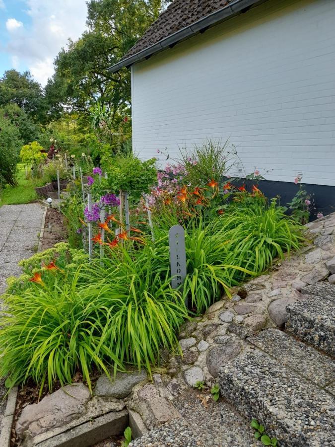 Haus Wald Und Wiese Wohnung Wiese Ehndorf Ngoại thất bức ảnh